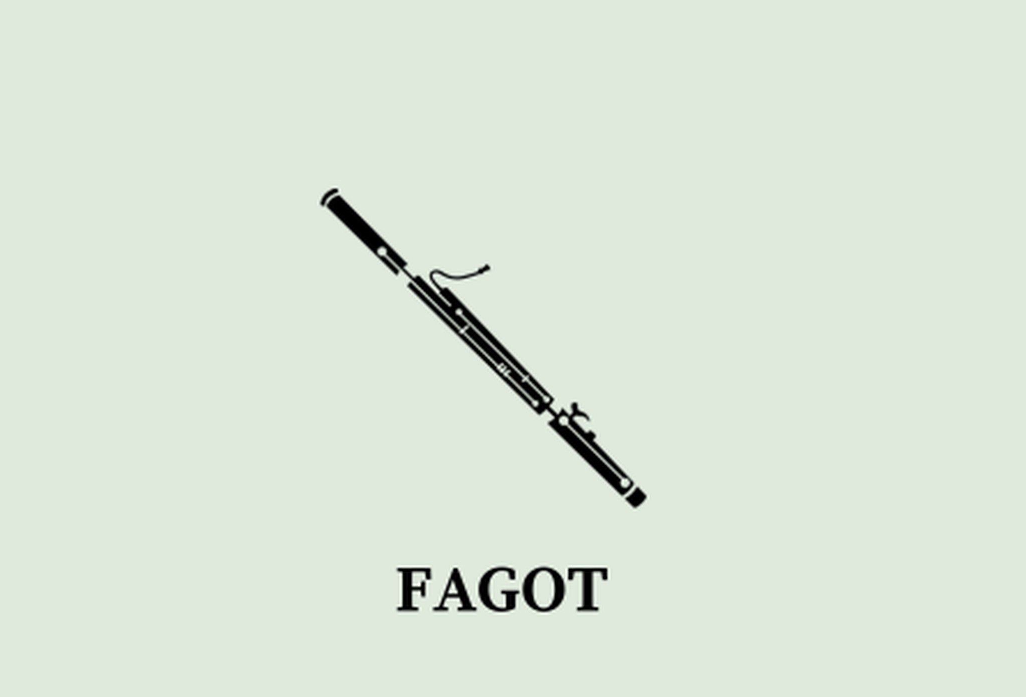 CAT_FAGOT_HOME