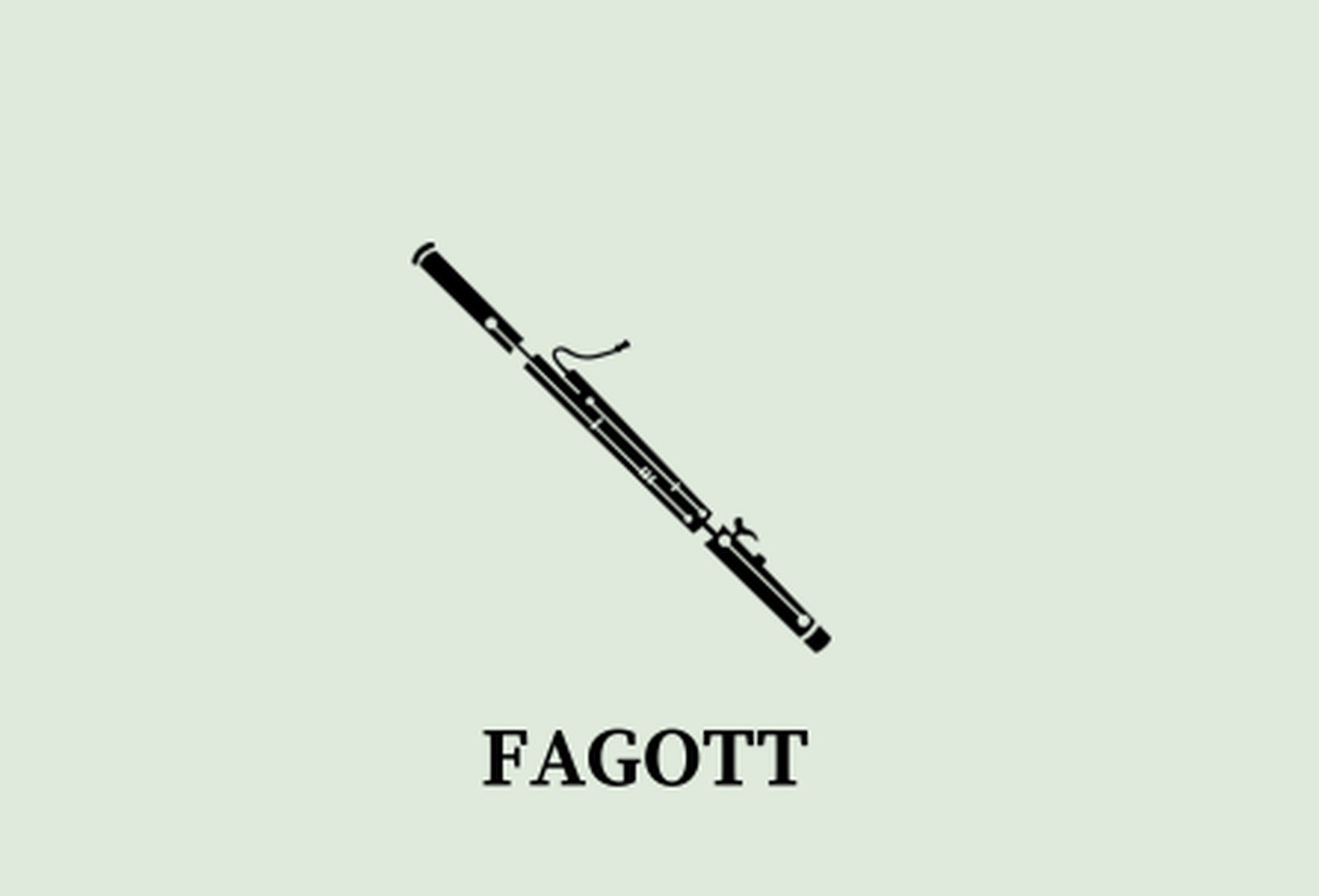 CAT_FAGOT_HOME