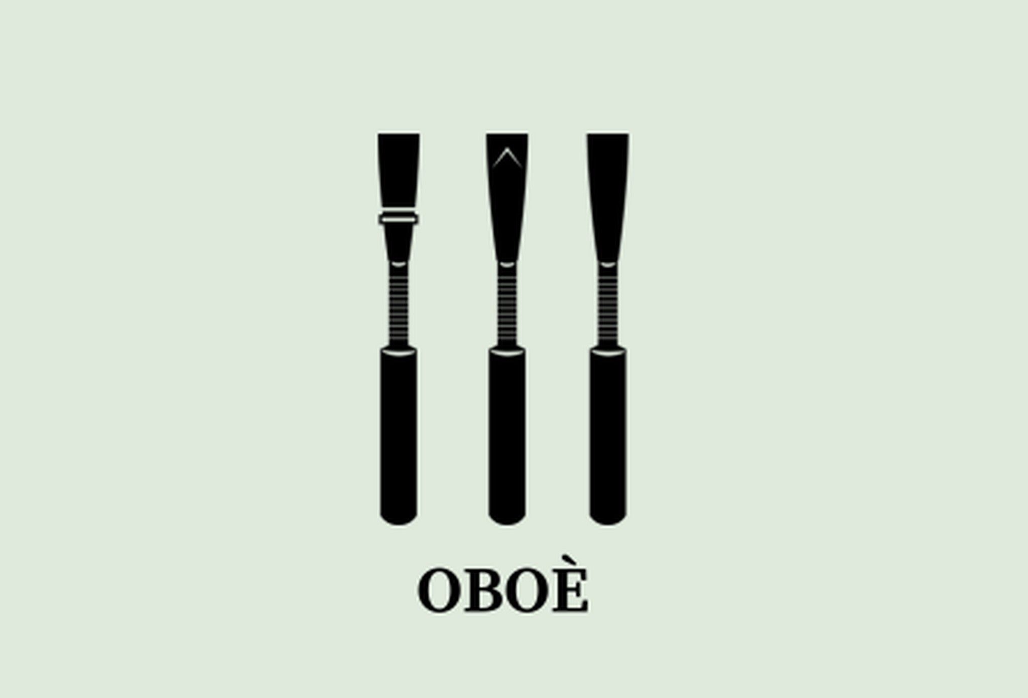 CAT_OBOE_HOME