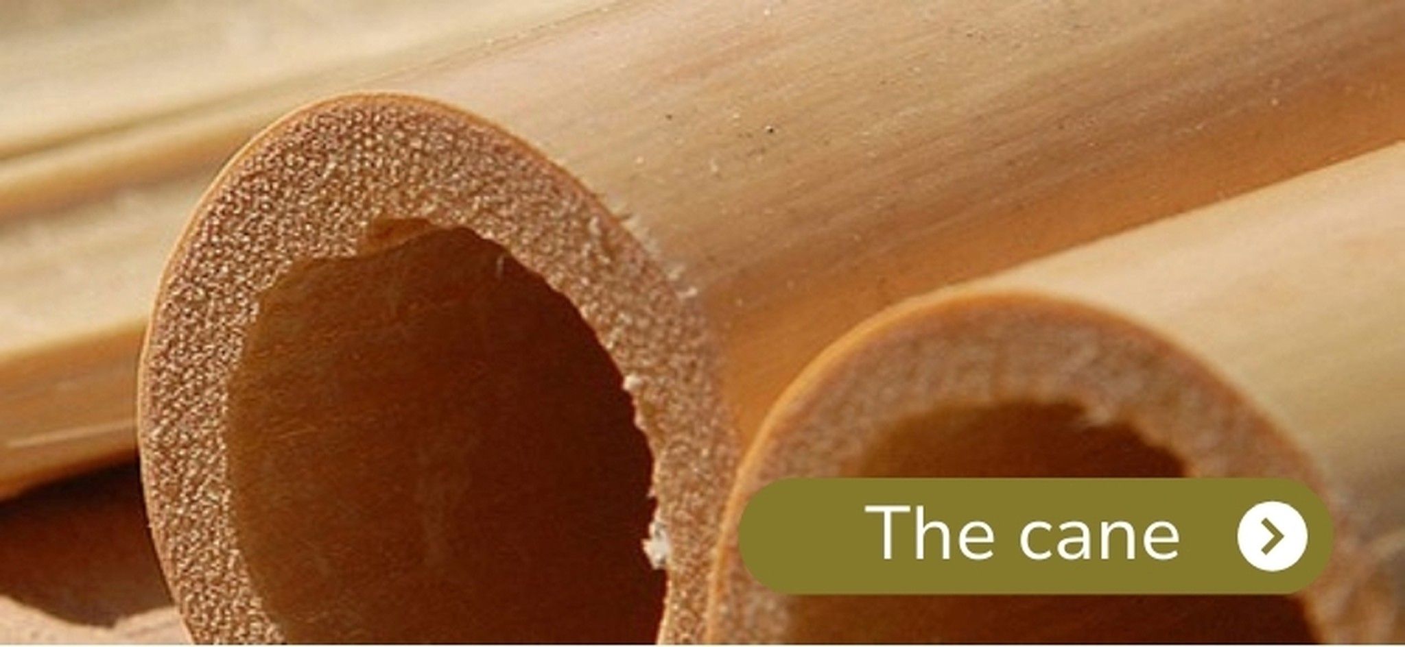 Cane, reeds and accessories for wind instruments | Medir® S.L.