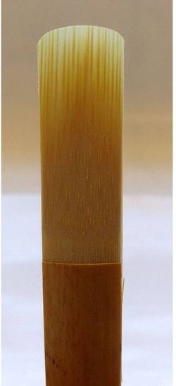 5 Cañas Clarinete SiB