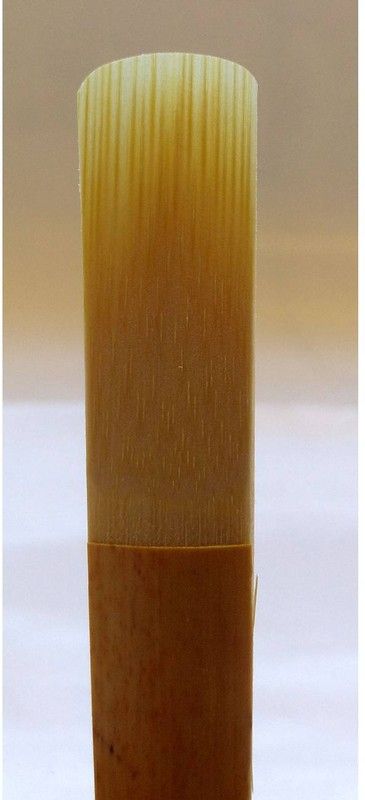 5 Cañas Clarinete SiB