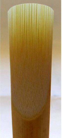 5 Inxes Medir, Saxo Tenor.