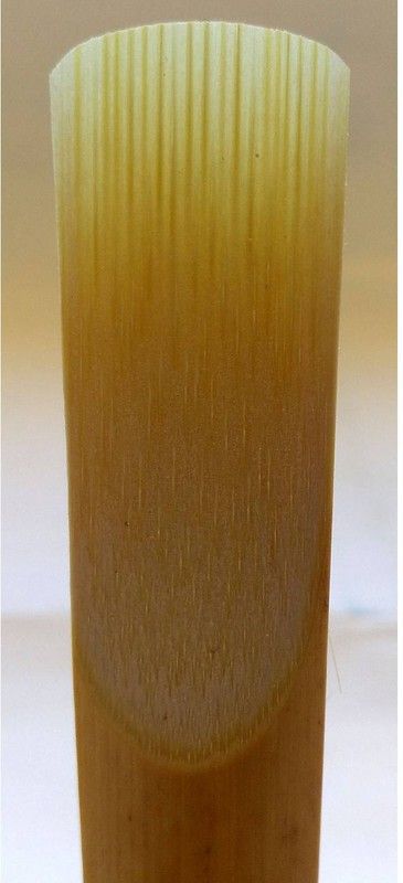 5 Inxes Medir, Saxo Tenor.