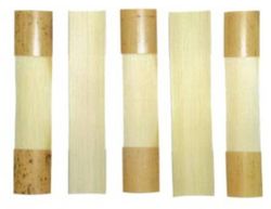 Ros. chalemie / dulciane Soprano gougé et effilé