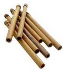 Bass drone tube cane (10u)