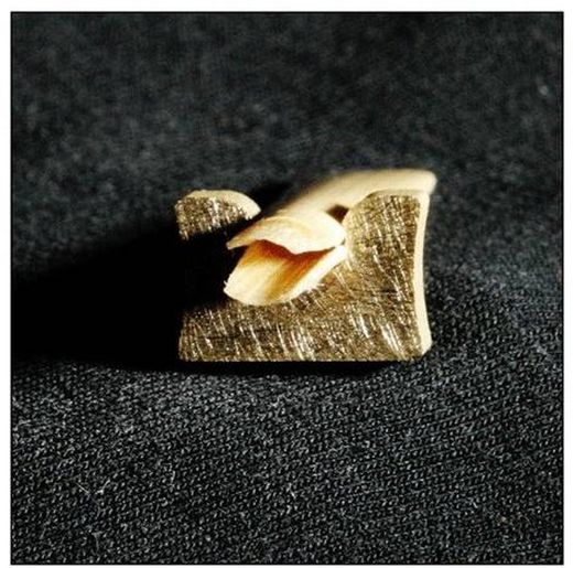 Le guide roseau pour cor anglais