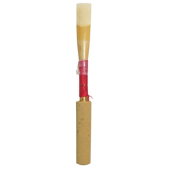 Oboe reed for student