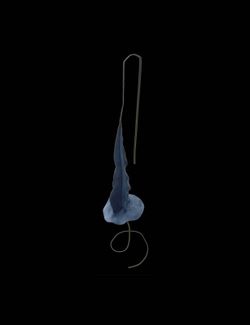 Drap per saxo alto
