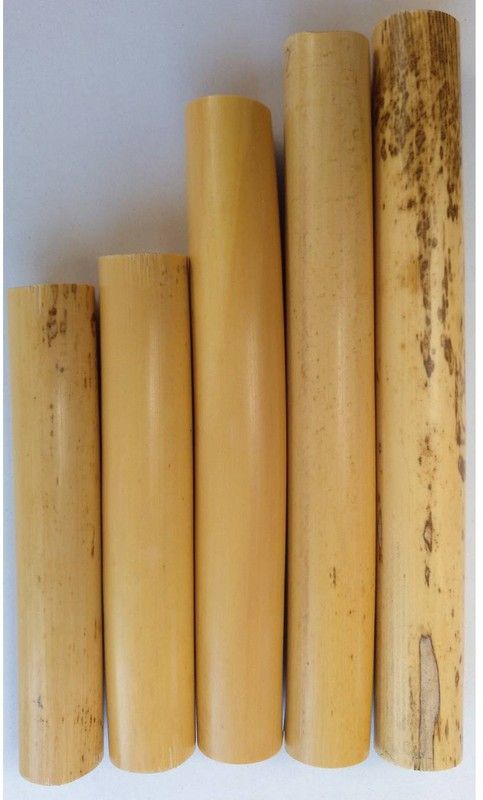 Tubos de caña para clarinete