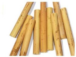 Rauschpfeife tube cane.